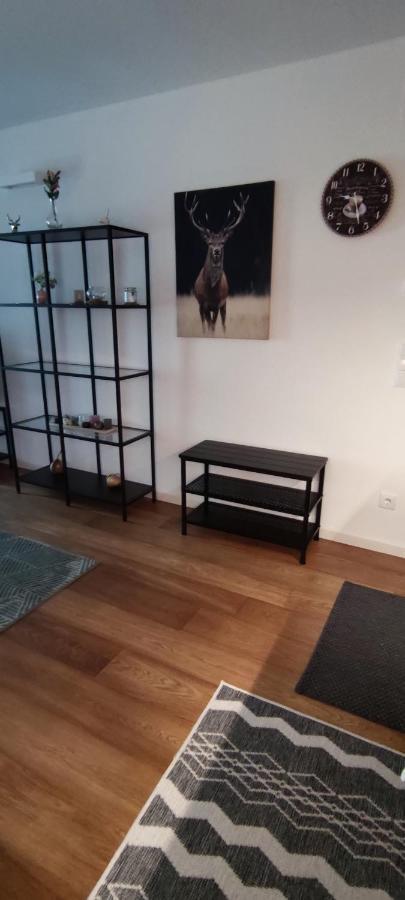 Lisa Apartman 巴德小基希海姆 外观 照片